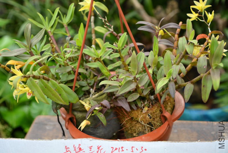 DSC_44280030.JPG