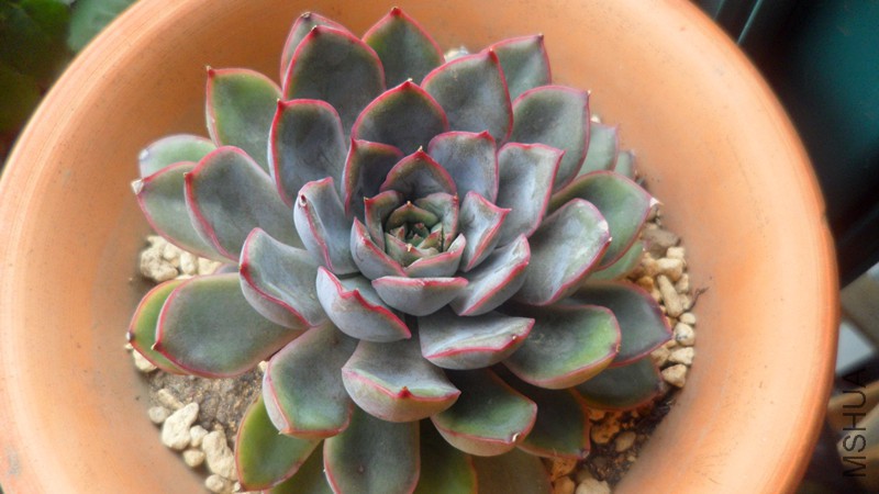 SAM_3367_����.jpg