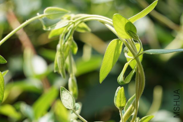 DSC01759 (640x427).jpg