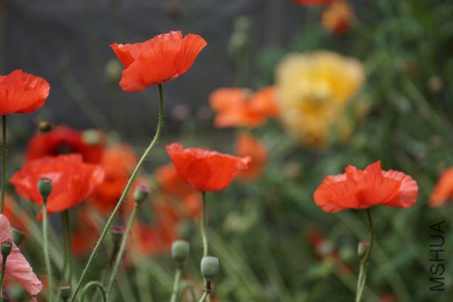 DSC01890 (640x427).jpg