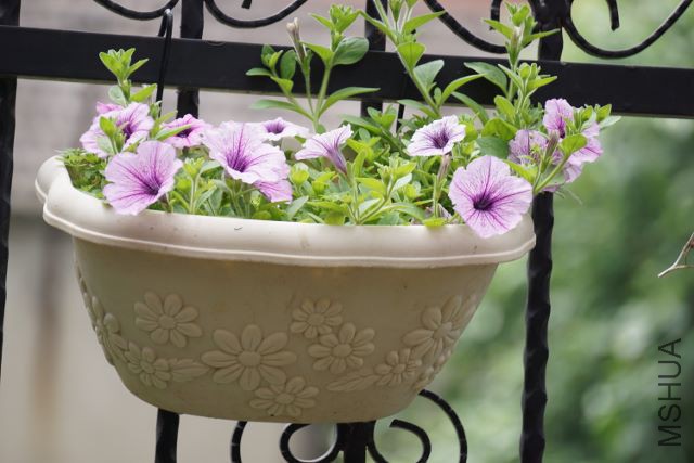 DSC01995 (640x427).jpg