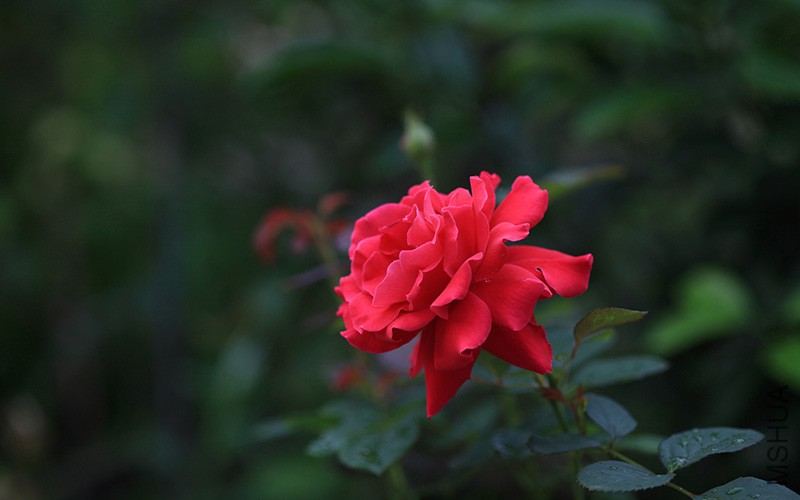 IMG_9984.JPG