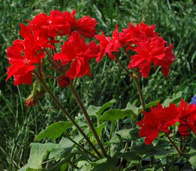 DSC_2269.JPG