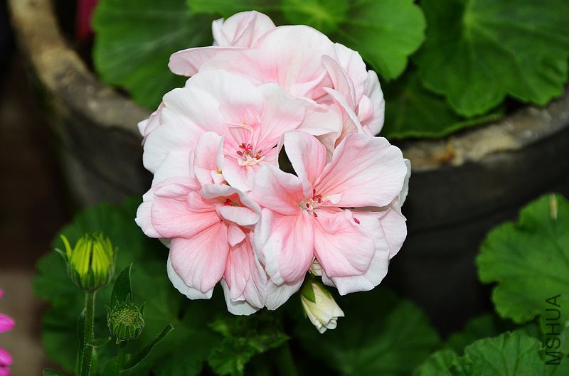 ���ӷ� (2).jpg