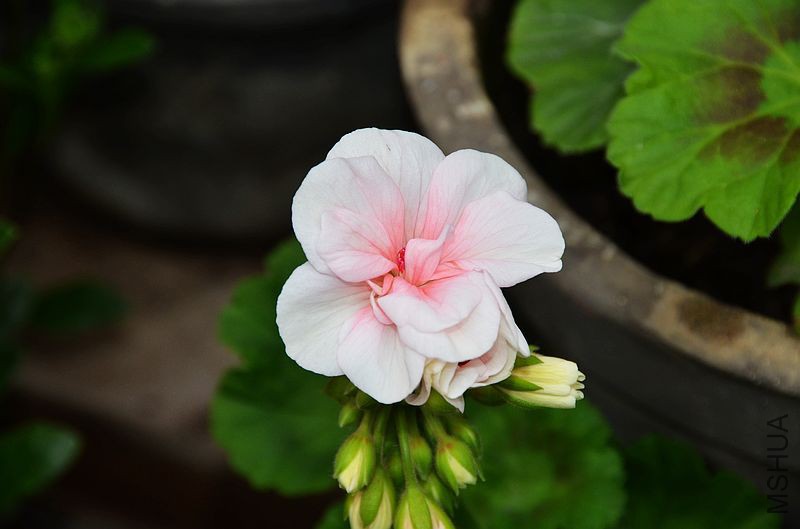 ���ӷ� (1).jpg