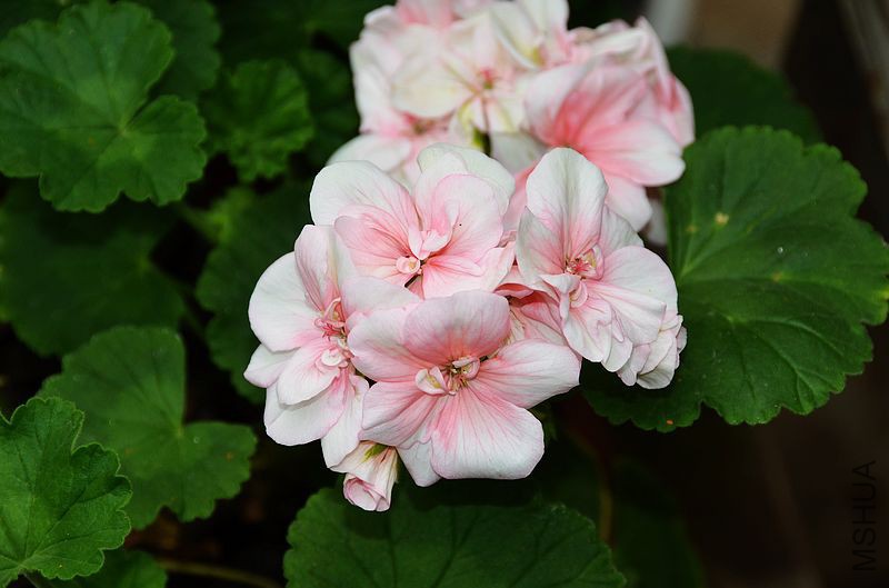 ���ӷ� (4).jpg