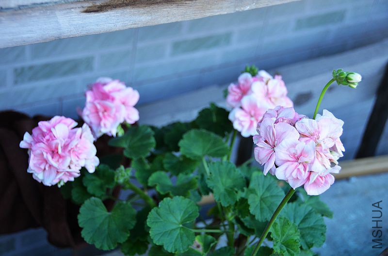 ���ӷ� (5).jpg