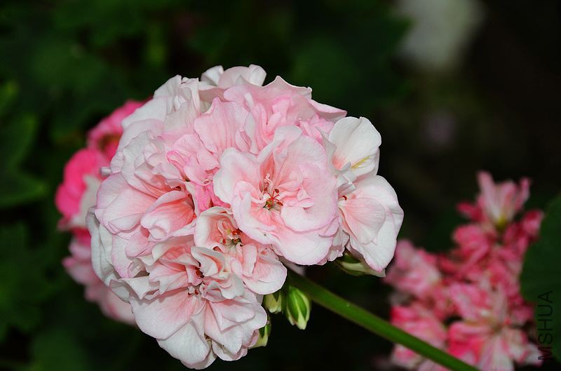 ���ӷ� (7).jpg