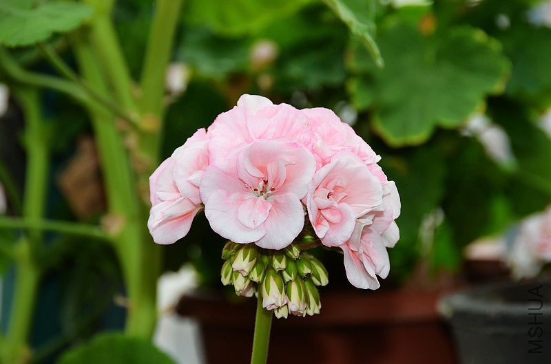 ���ӷ� (6).jpg