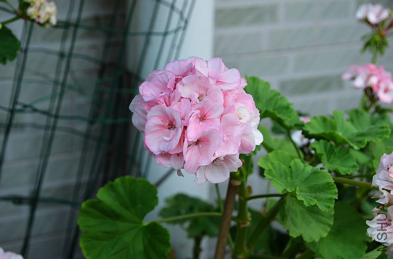 ���ӷ� (11).jpg