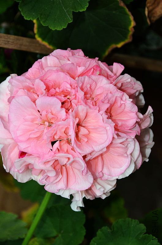 ���ӷ� (14).jpg