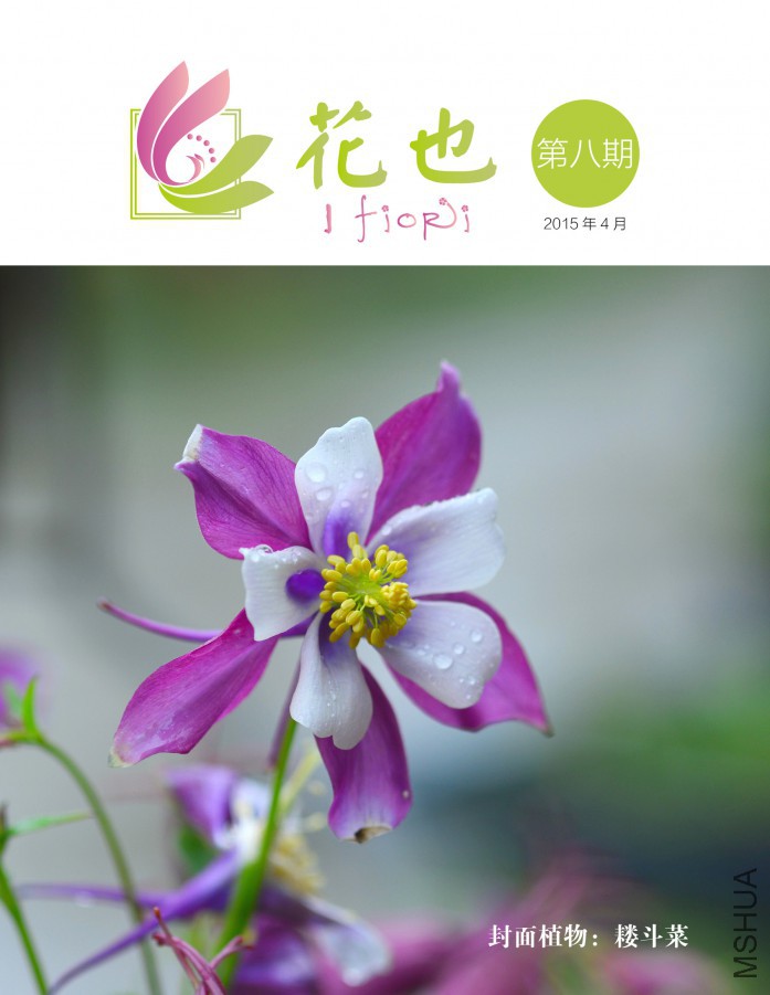 ��Ҳ�ڰ��ڣ��ո�.jpg