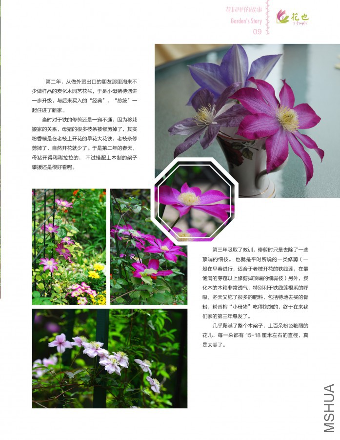 ��Ҳ�ڰ��ڣ��ո�9.jpg