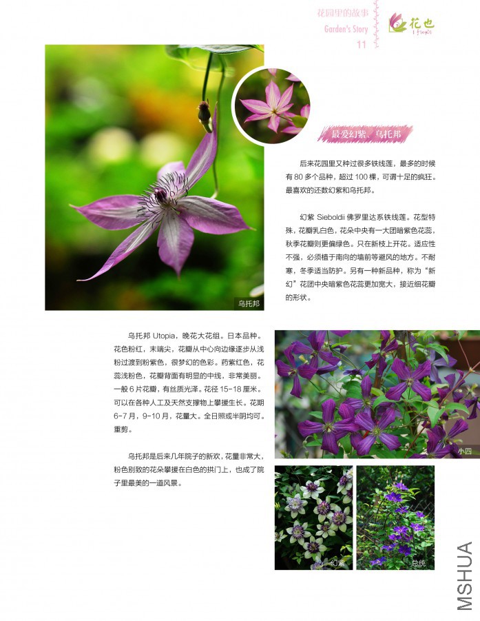 ��Ҳ�ڰ��ڣ��ո�11.jpg