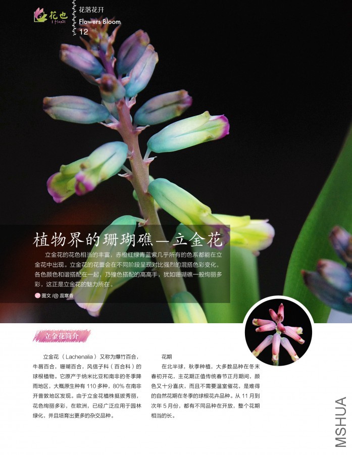 ��Ҳ�ڰ��ڣ��ո�12.jpg