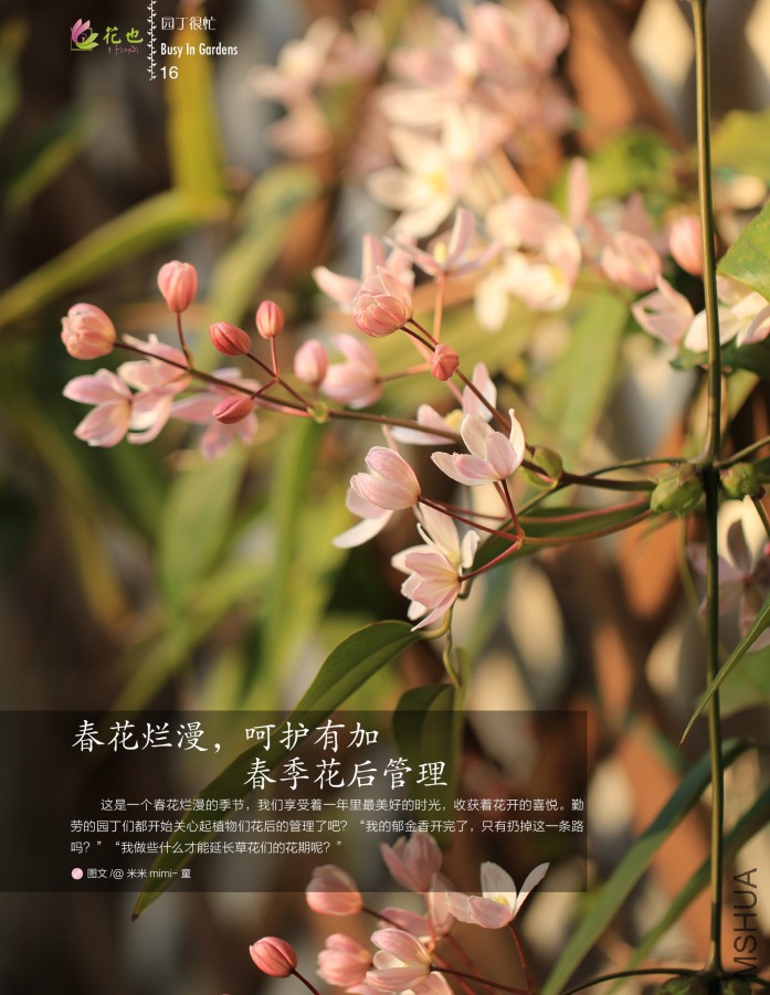 ��Ҳ�ڰ��ڣ��ո�16.jpg