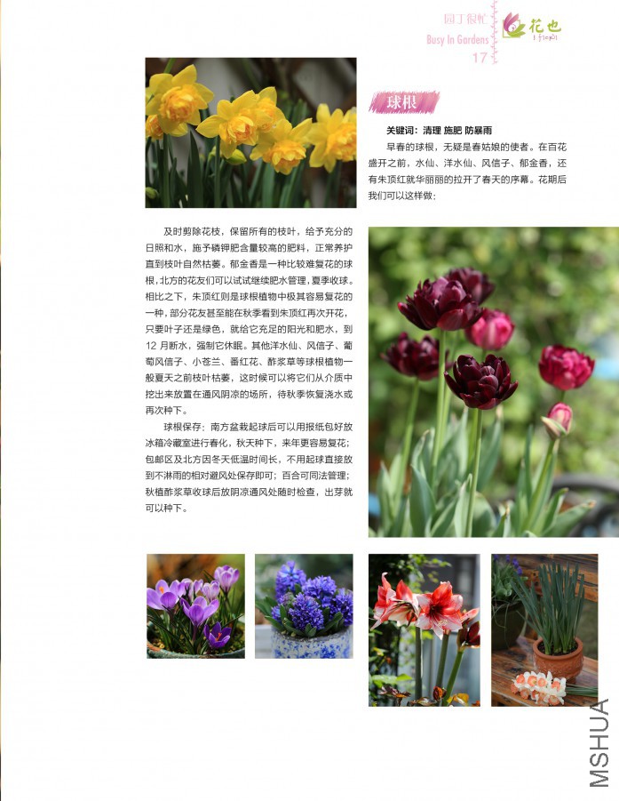 ��Ҳ�ڰ��ڣ��ո�17.jpg