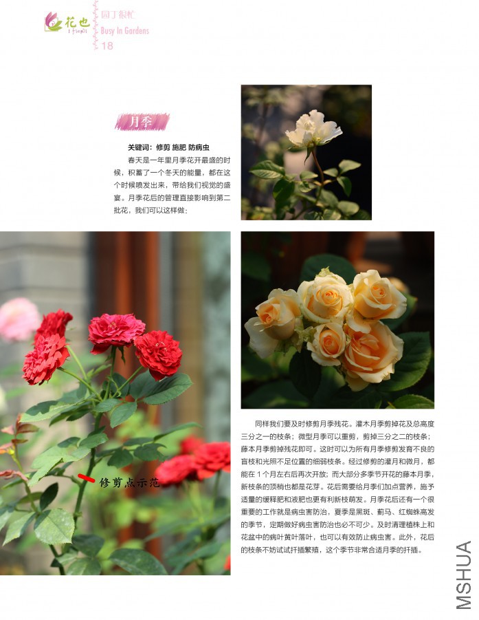 ��Ҳ�ڰ��ڣ��ո�18.jpg