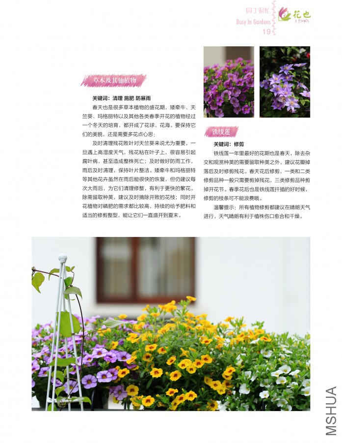 ��Ҳ�ڰ��ڣ��ո�19.jpg