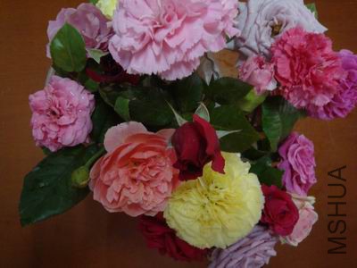 DSC05112.JPG