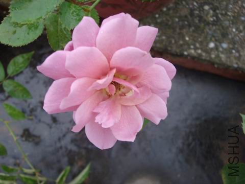 DSC05091.JPG
