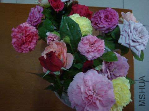 DSC05099.JPG