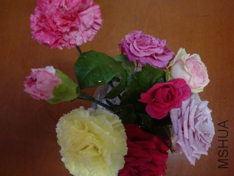 DSC05100.JPG