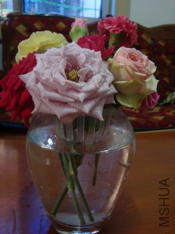 DSC05102.JPG
