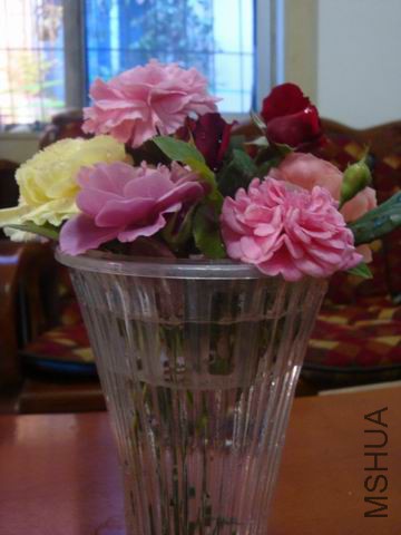 DSC05103.JPG