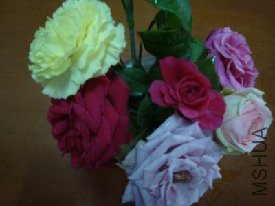 DSC05108.JPG