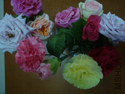DSC05110.JPG