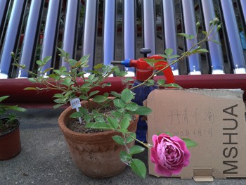20150531_181343.jpg