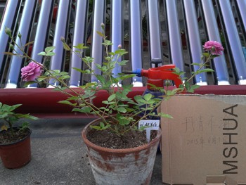 20150531_181259.jpg