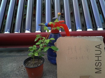 20150531_181315.jpg