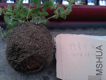 20150531_182725.jpg