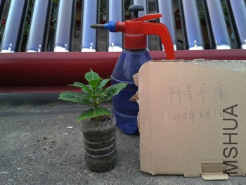 20150531_181433.jpg