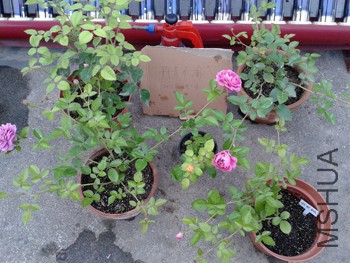 20150531_183810.jpg