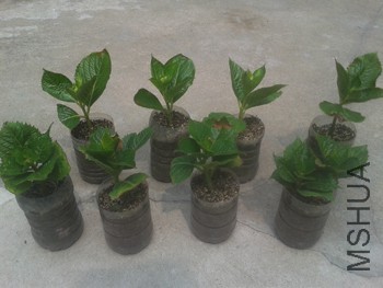 20150518_134008.jpg