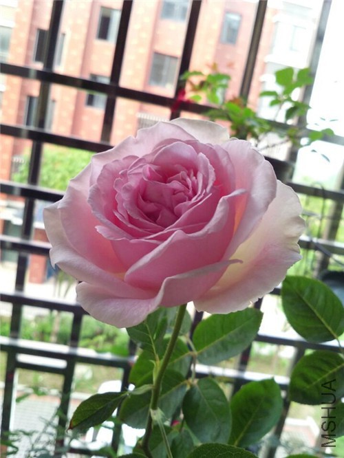 QQͼƬ20150601115719.jpg