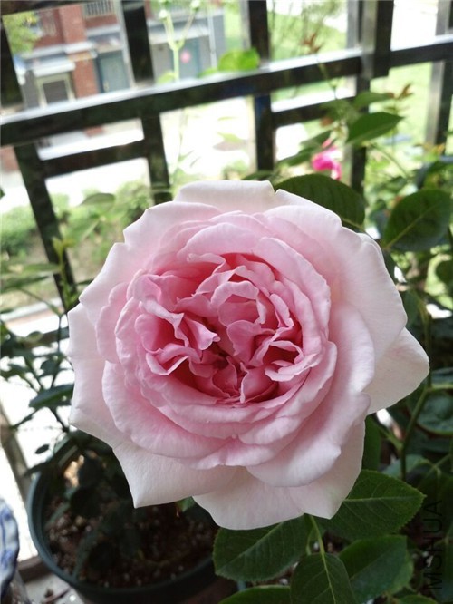 QQͼƬ20150601115617.jpg