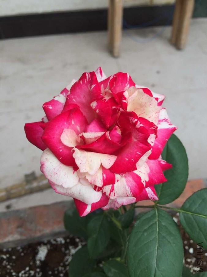 QQͼƬ20150601141520.jpg