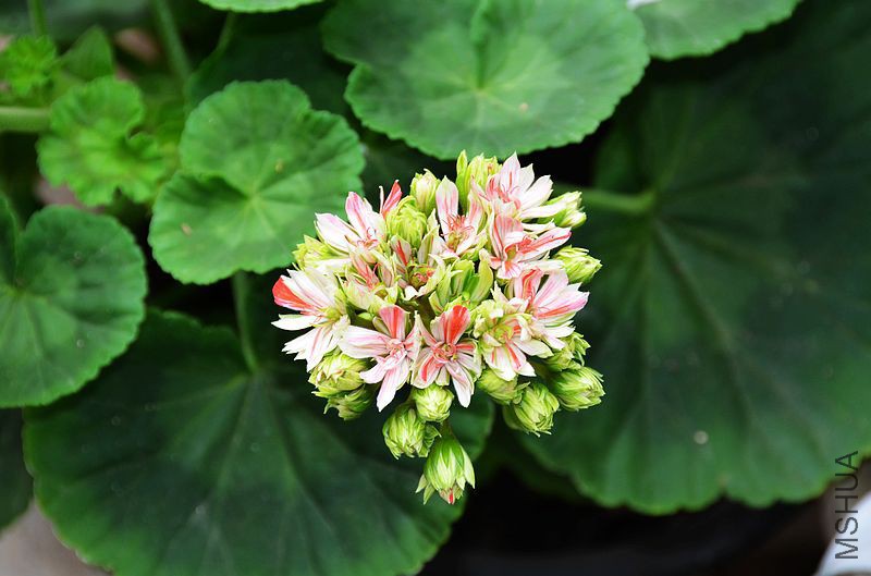 ��ʿ֮�� (1).jpg