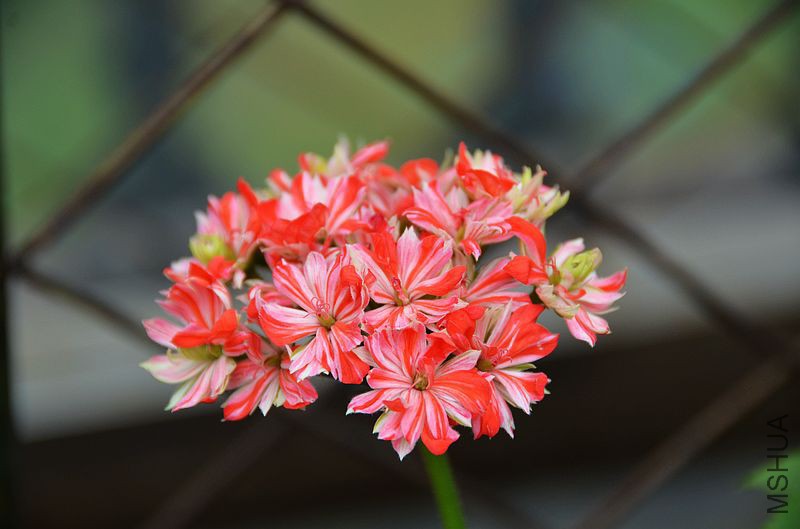 ��ʿ֮�� (2).jpg