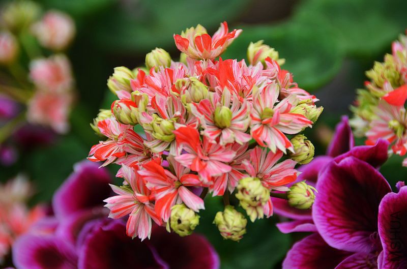 ��ʿ֮�� (3).jpg