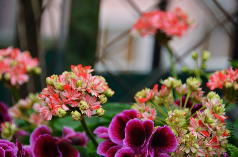 ��ʿ֮�� (4).jpg