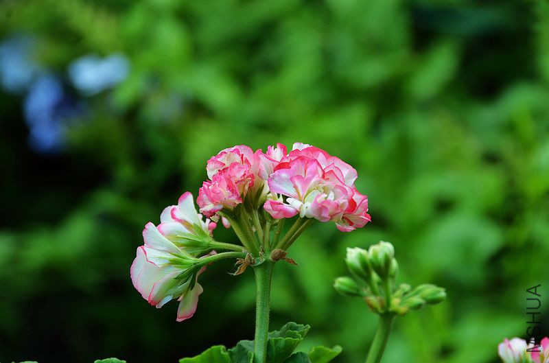 �ձ��� (1).jpg