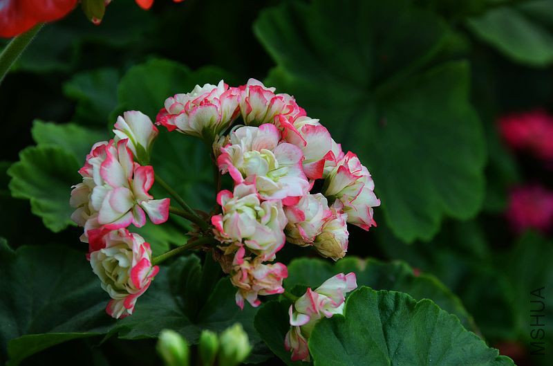 �ձ��� (2).jpg