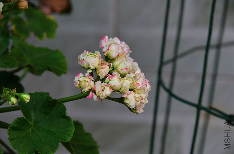 �ձ��� (4).jpg