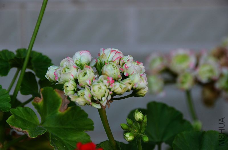 �ձ��� (3).jpg