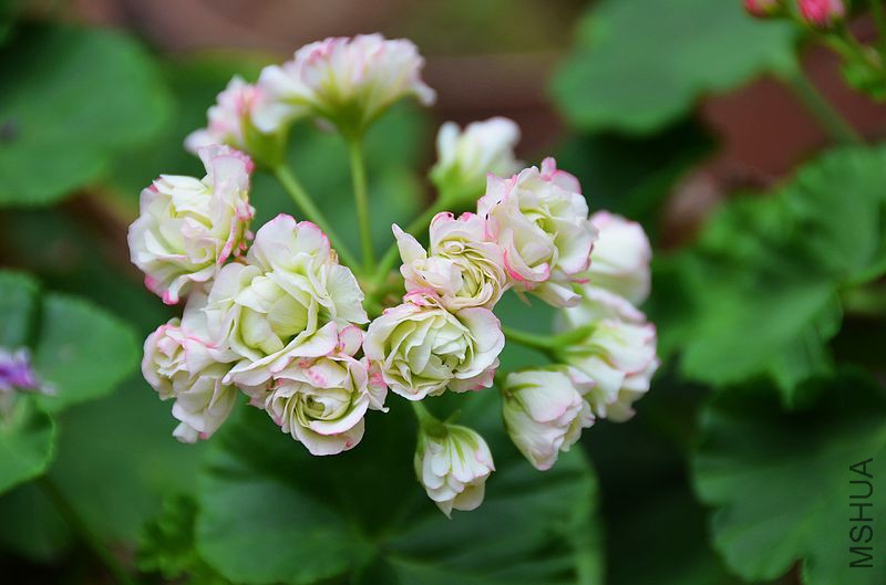 �ձ��� (6).jpg